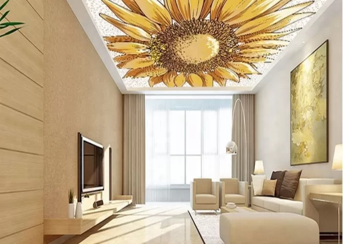 Натяжные потолки с фотопечатью